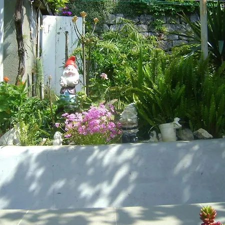 Konukevi Marijana 2*