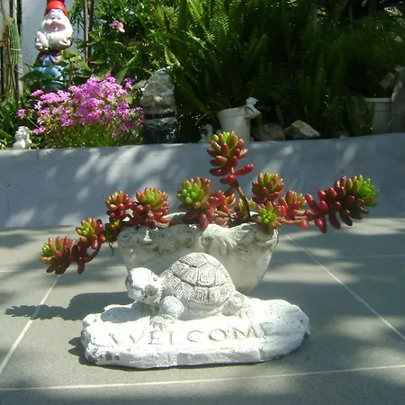 Casa de hóspedes Marijana