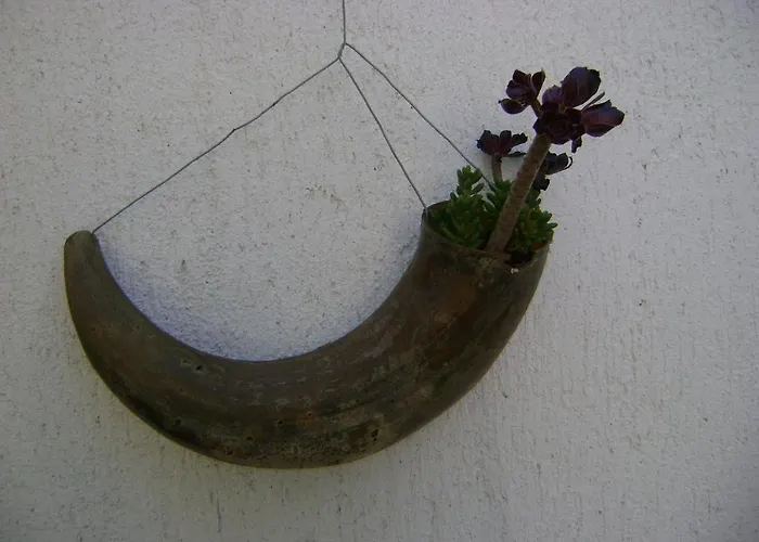 בית הארחה Marijana