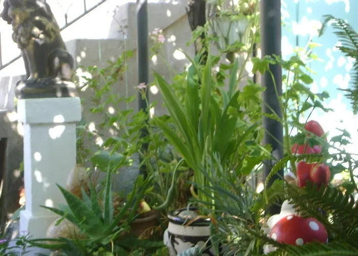 Marijana 2* דוברובניק