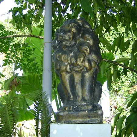 בית הארחה Marijana דוברובניק