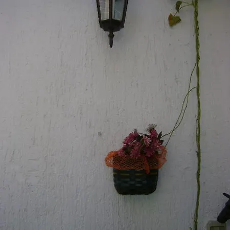 בית הארחה Marijana 2*