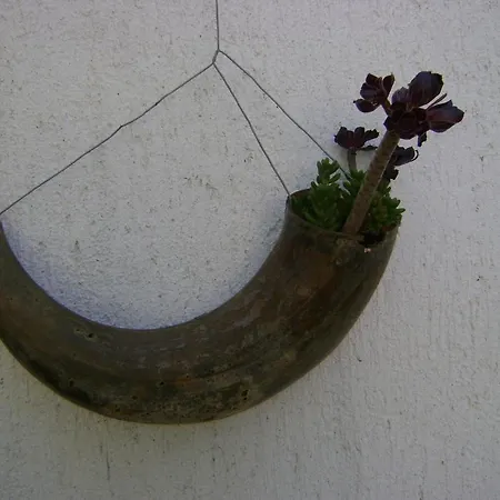 בית הארחה Marijana