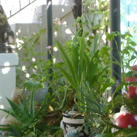 Marijana 2* דוברובניק